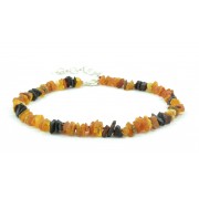 Baltic Amber Pet Neclace